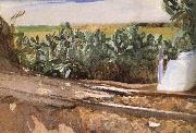 Roadside grass Joaquin Sorolla